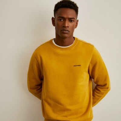 Sweater decote redondo Lion of Porches