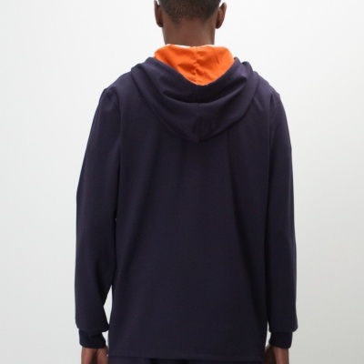 Sweat manga comprida com capuz Lion of Porches