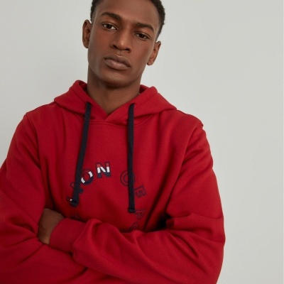 Sweater de algodão com capuz Lion of Porches