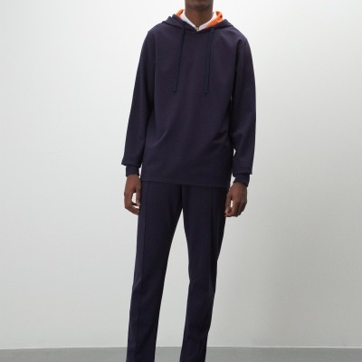 Sweat manga comprida com capuz Lion of Porches