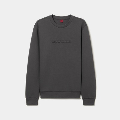 Sweatshirt com logotipo Lion of Porches