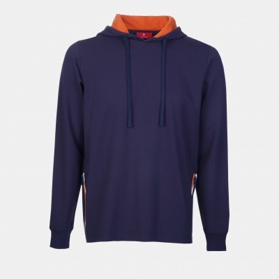 Sweat manga comprida com capuz Lion of Porches