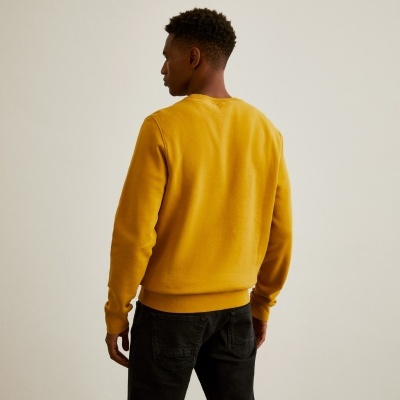 Sweater decote redondo Lion of Porches