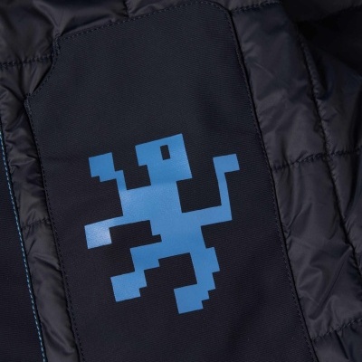 Blusão acolchoado com capuz embutido Lion of Porches