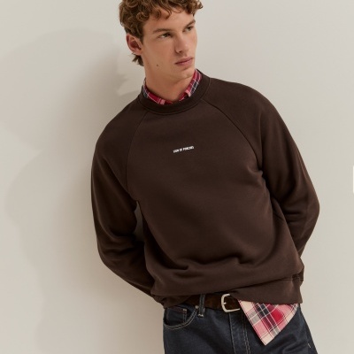 Sweater básica com logotipo Lion of Porches
