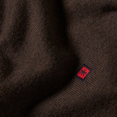 Pullover decote em V Lion of Porches