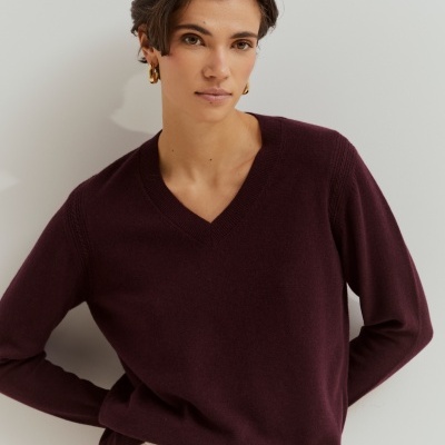 Camisola de lã decote em V Lion of Porches