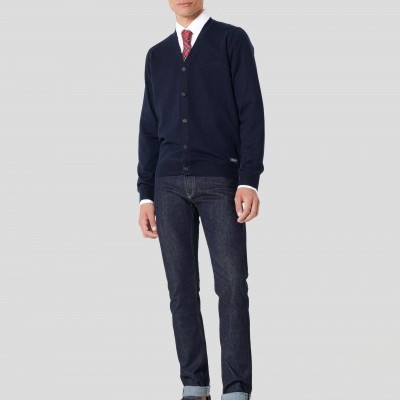 Cardigan Lion of Porches