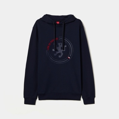 Sweater com capuz Lion of Porches