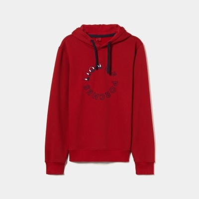 Sweater de algodão com capuz Lion of Porches