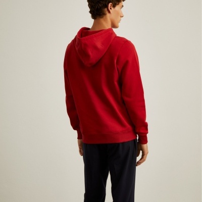 Sweater com capuz Lion of Porches