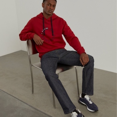 Sweater de algodão com capuz Lion of Porches