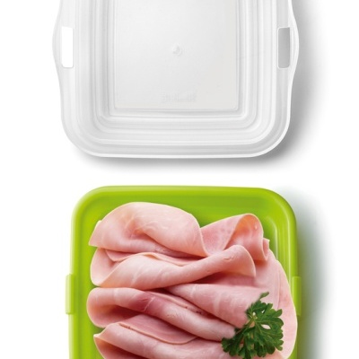 Recipiente especial queijo/fiambre/embutidos (VERDE)