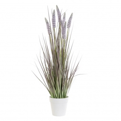 Planta com lavanda em vaso