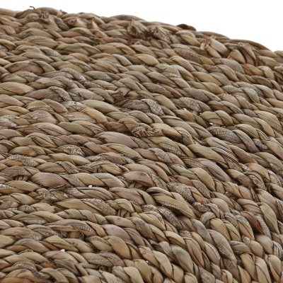 Individual seagrass redondo