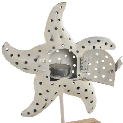 Decoração estrela do mar 26cm