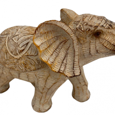 Elefante natura decorativo