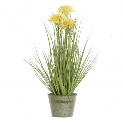 Planta com flor amarela em vaso