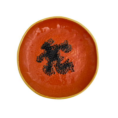 Prato sobremesa Papaia