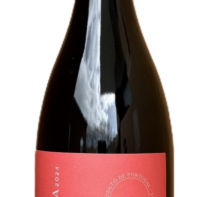 VINHO VERDE - VINHÃO GRANDE ESCOLHA 2024