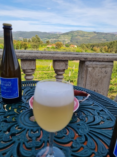 Vinho Branco Não Filtrado L24PNT