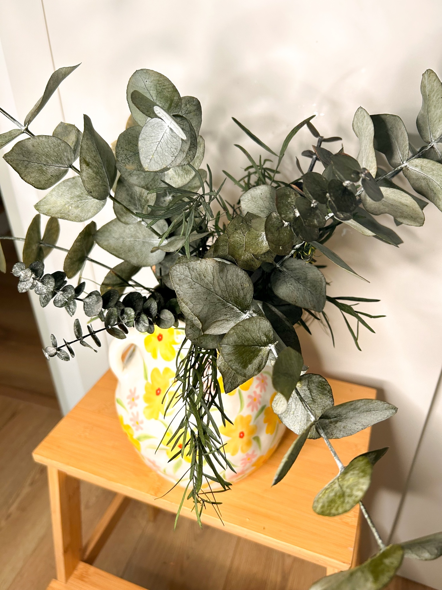 Eucalipto - Várias Cores