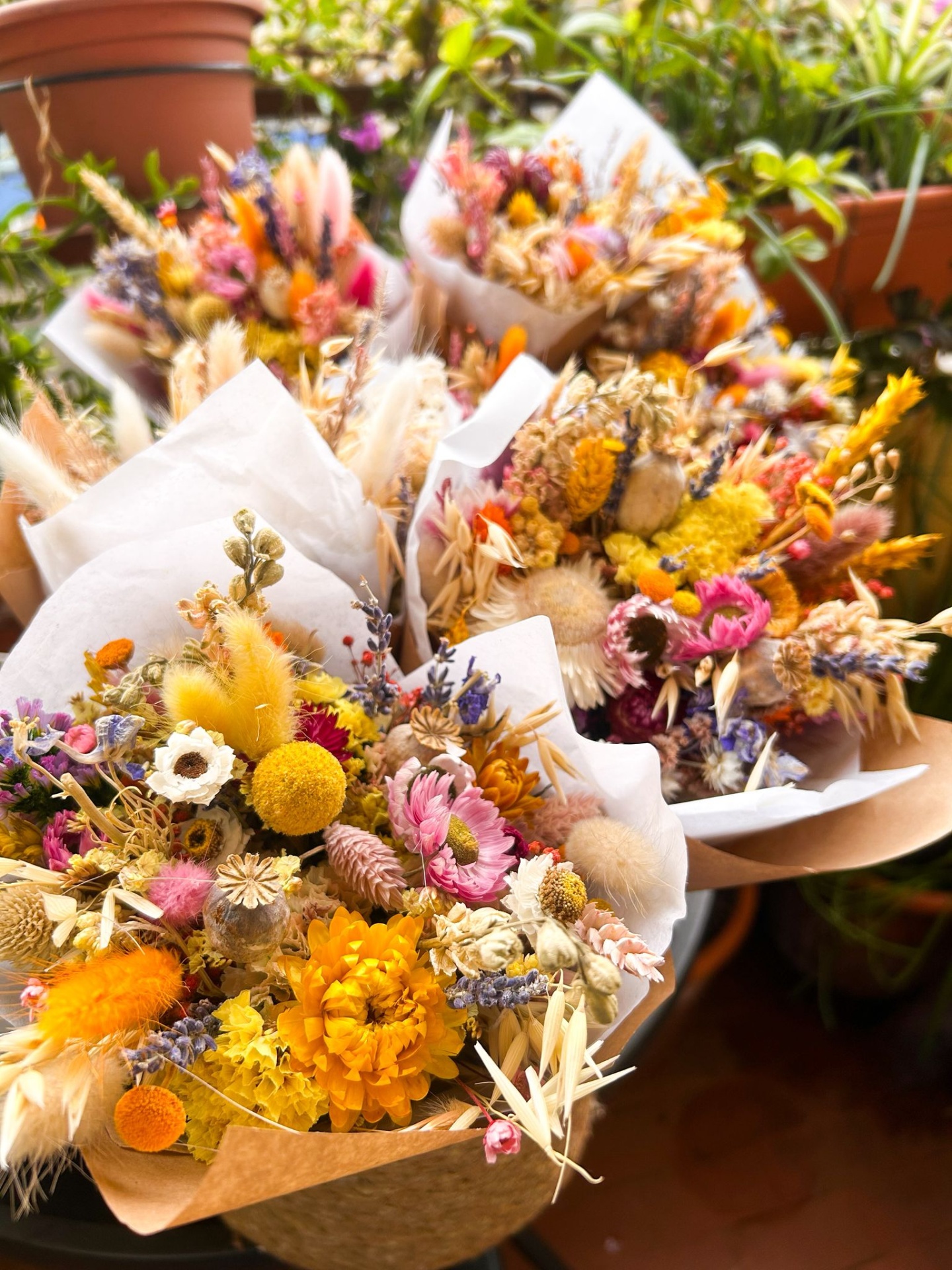 Ramo de Flores Secas e Preservadas – Oferta e Decoração