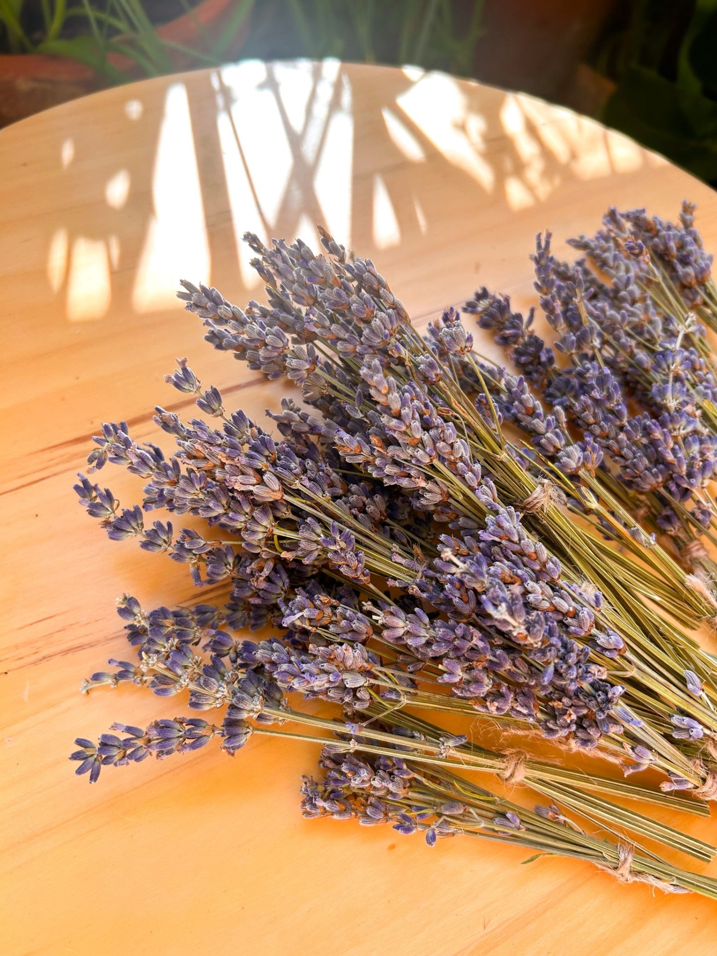 Mini Ramos de Lavanda Seca - Convites e Lembranças