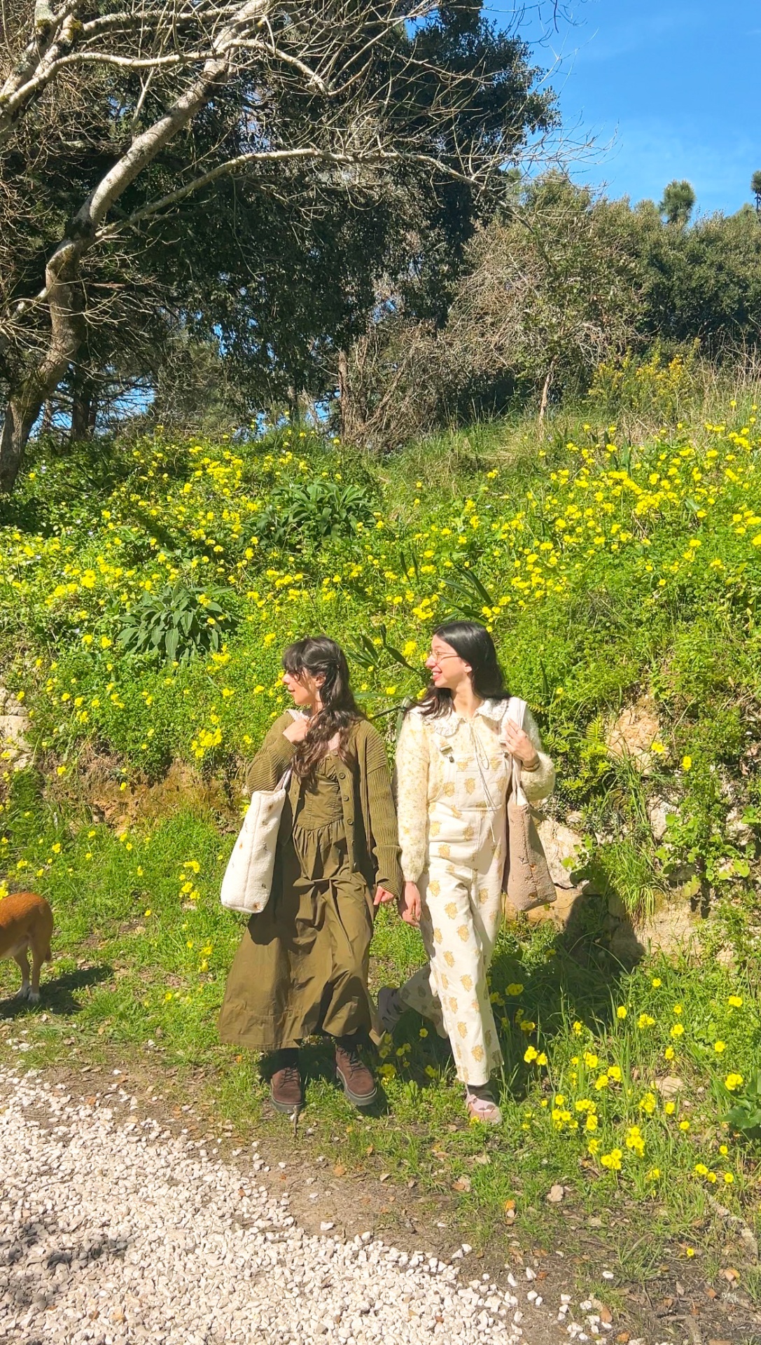 Meliora - Coleção Jardim Encantado