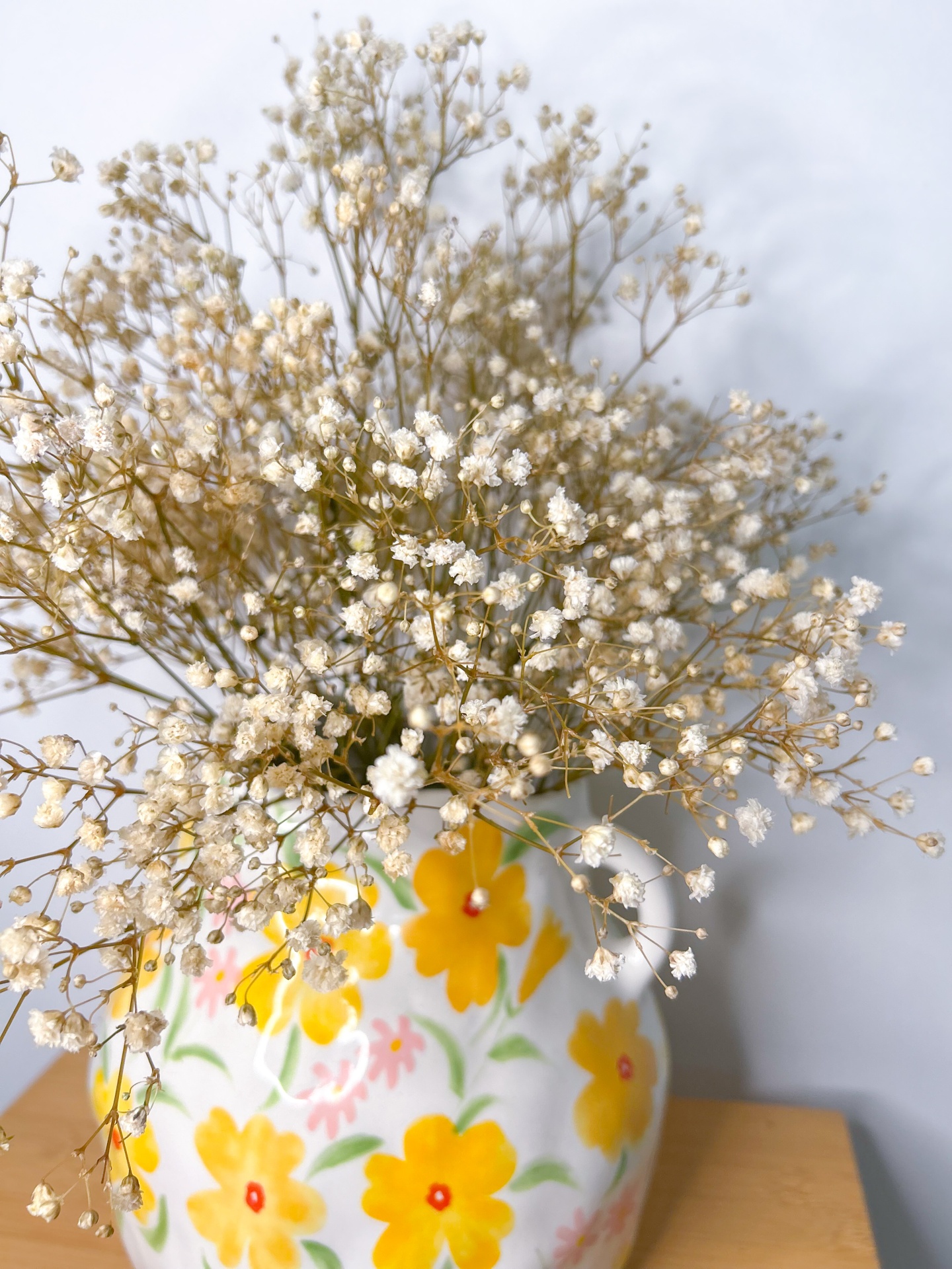 Gipsofila Preservada