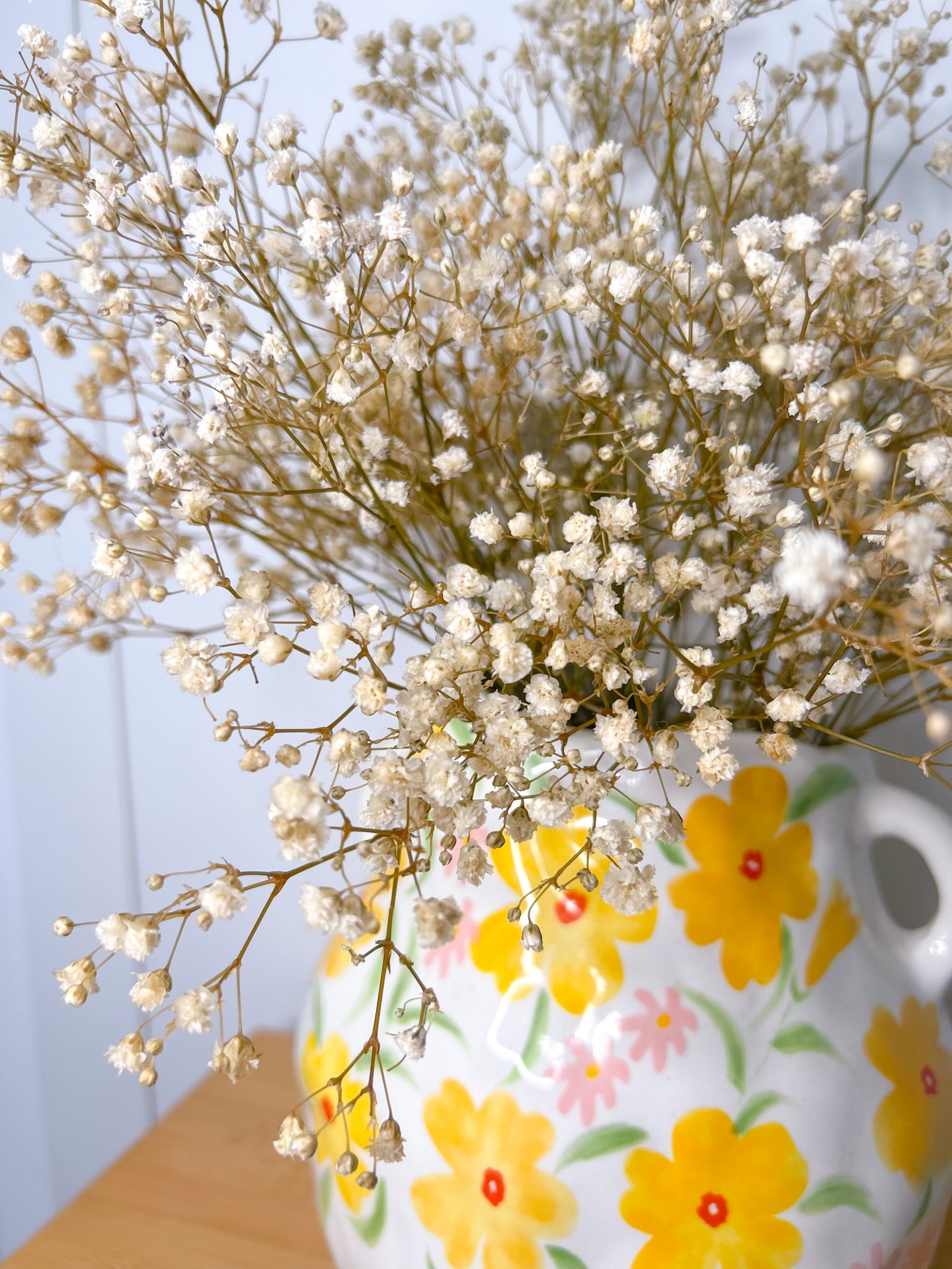 Gipsofila Preservada