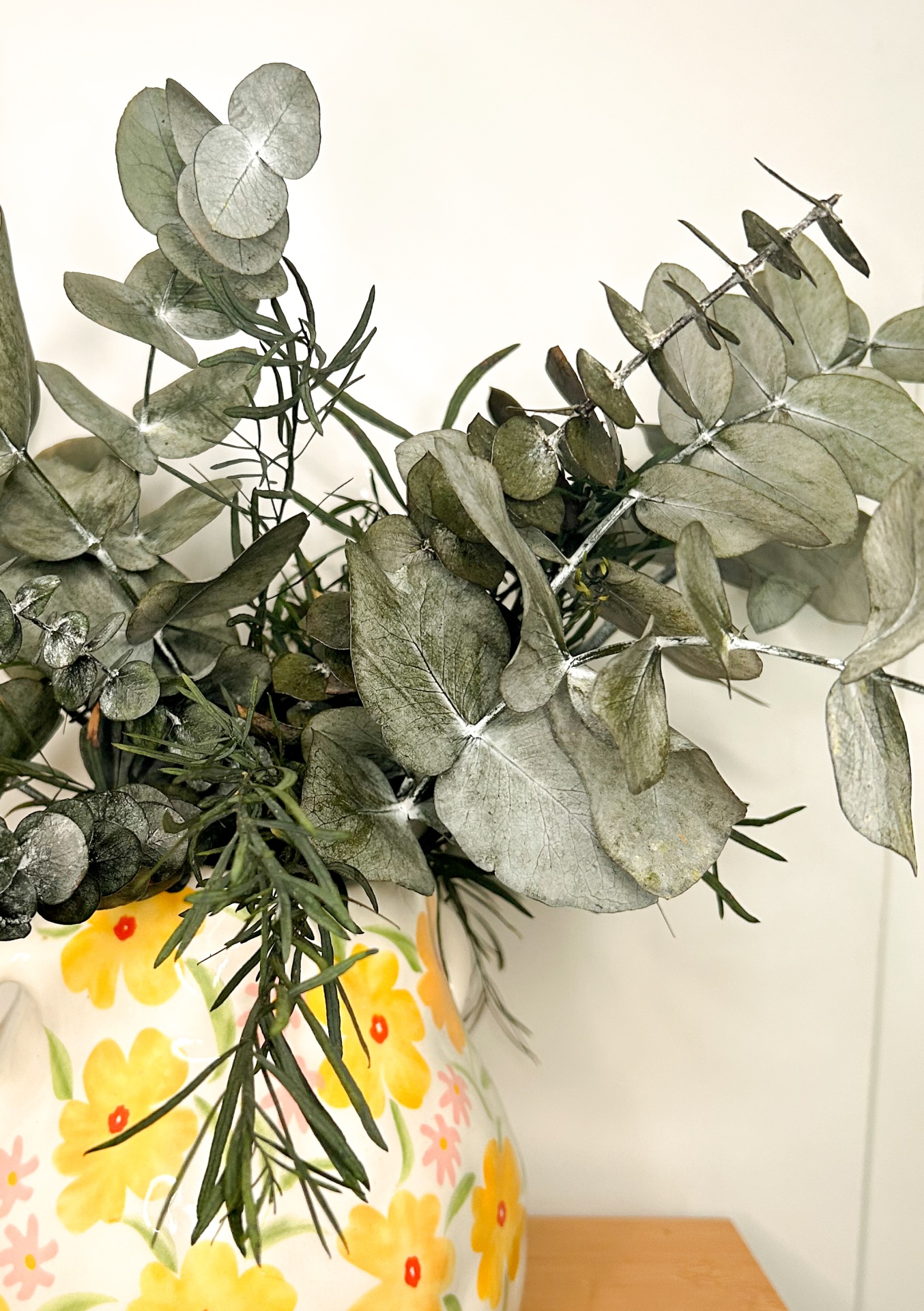 Eucalipto - Várias Cores