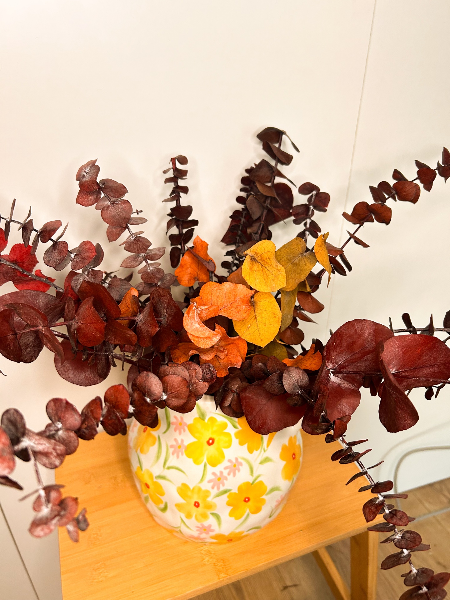 Eucalipto - Várias Cores