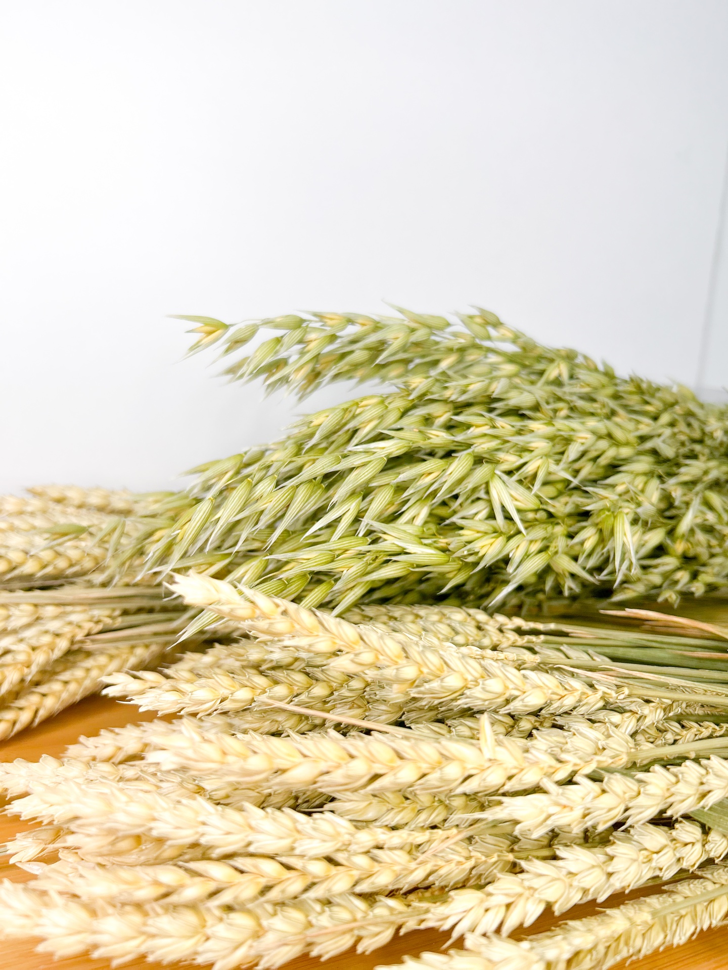 Aveia e Espiga de Trigo Secas