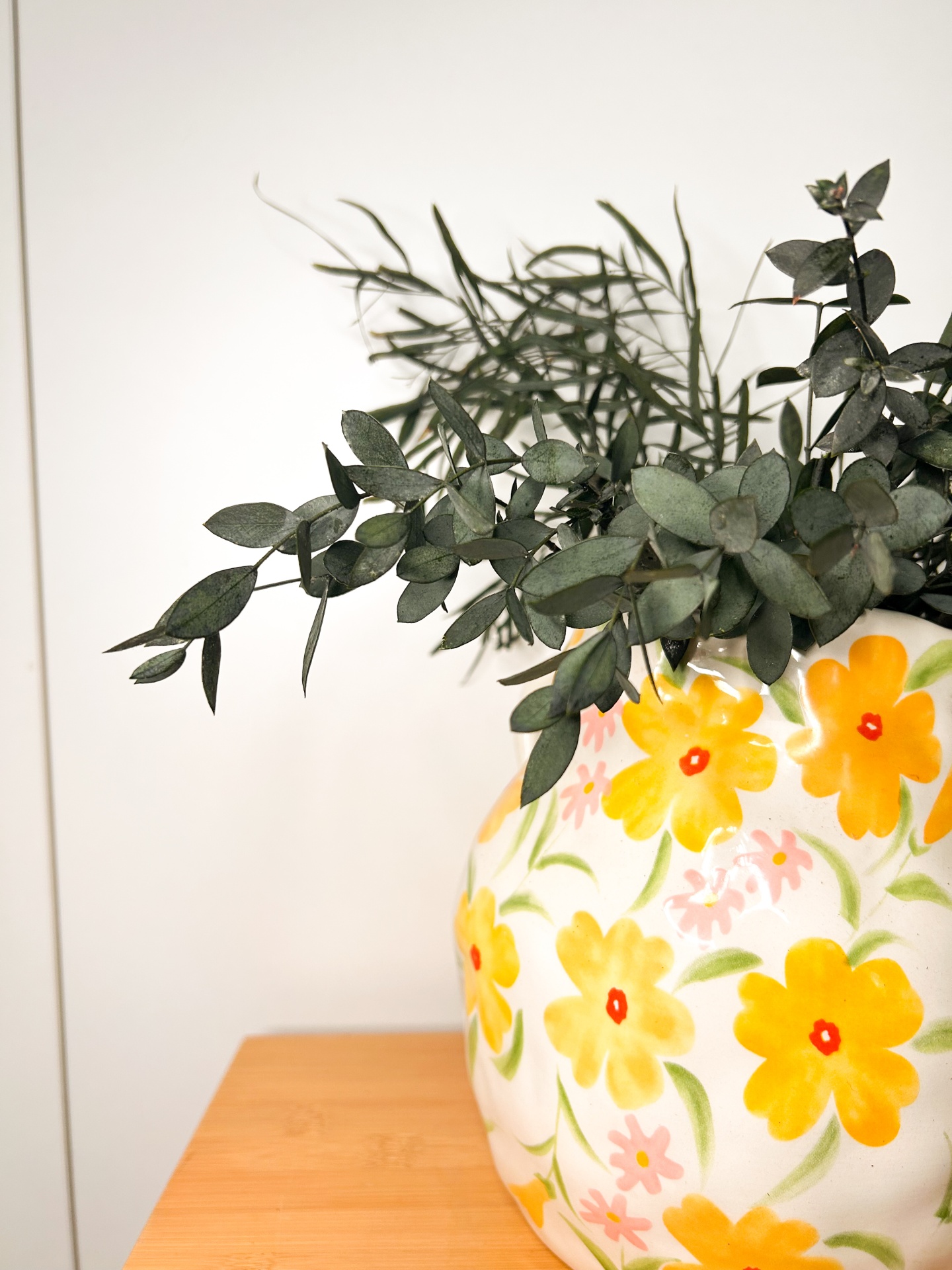 Eucalipto - Várias Cores