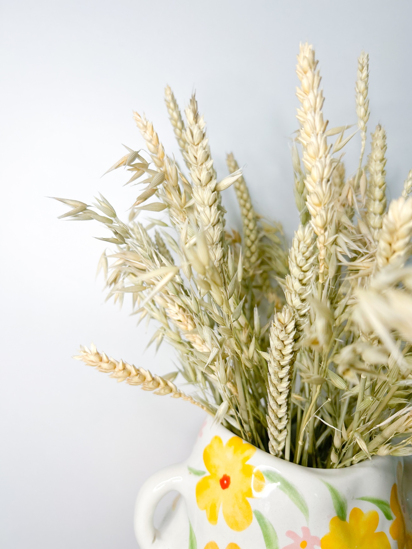 Aveia e Espiga de Trigo Secas