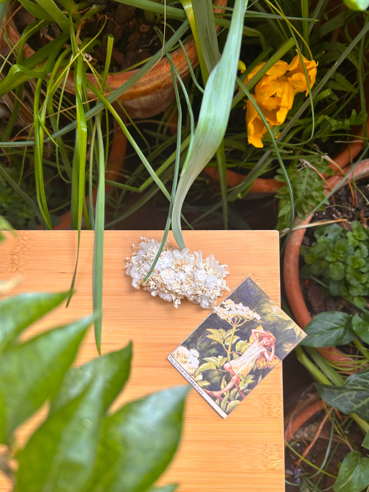 Gancho/Travessão de Flores Secas e Preservadas