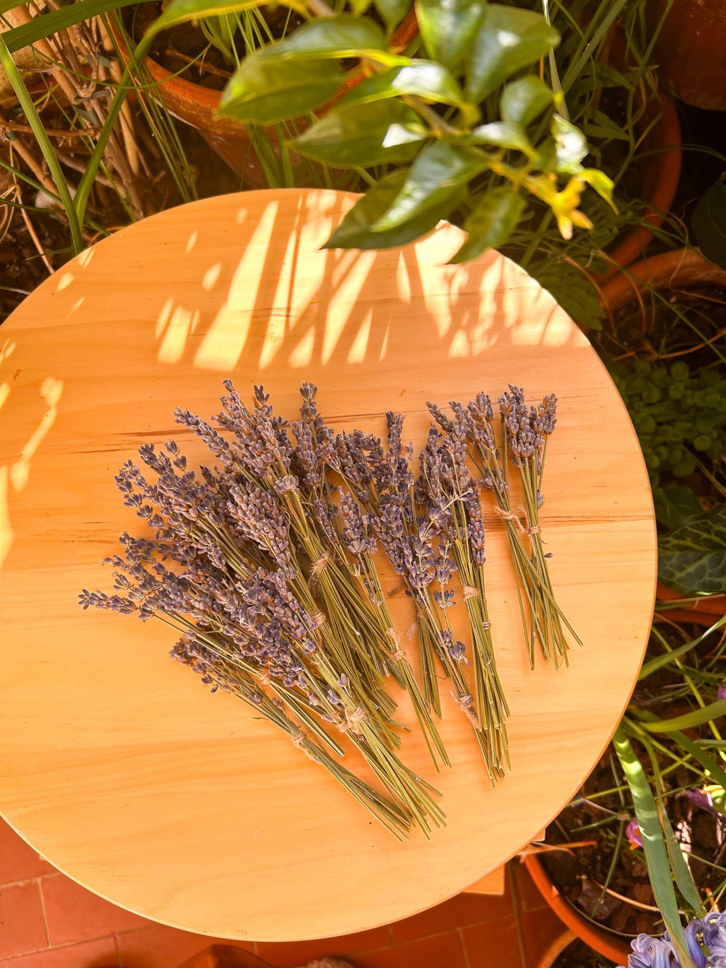 Mini Ramos de Lavanda Seca - Convites e Lembranças