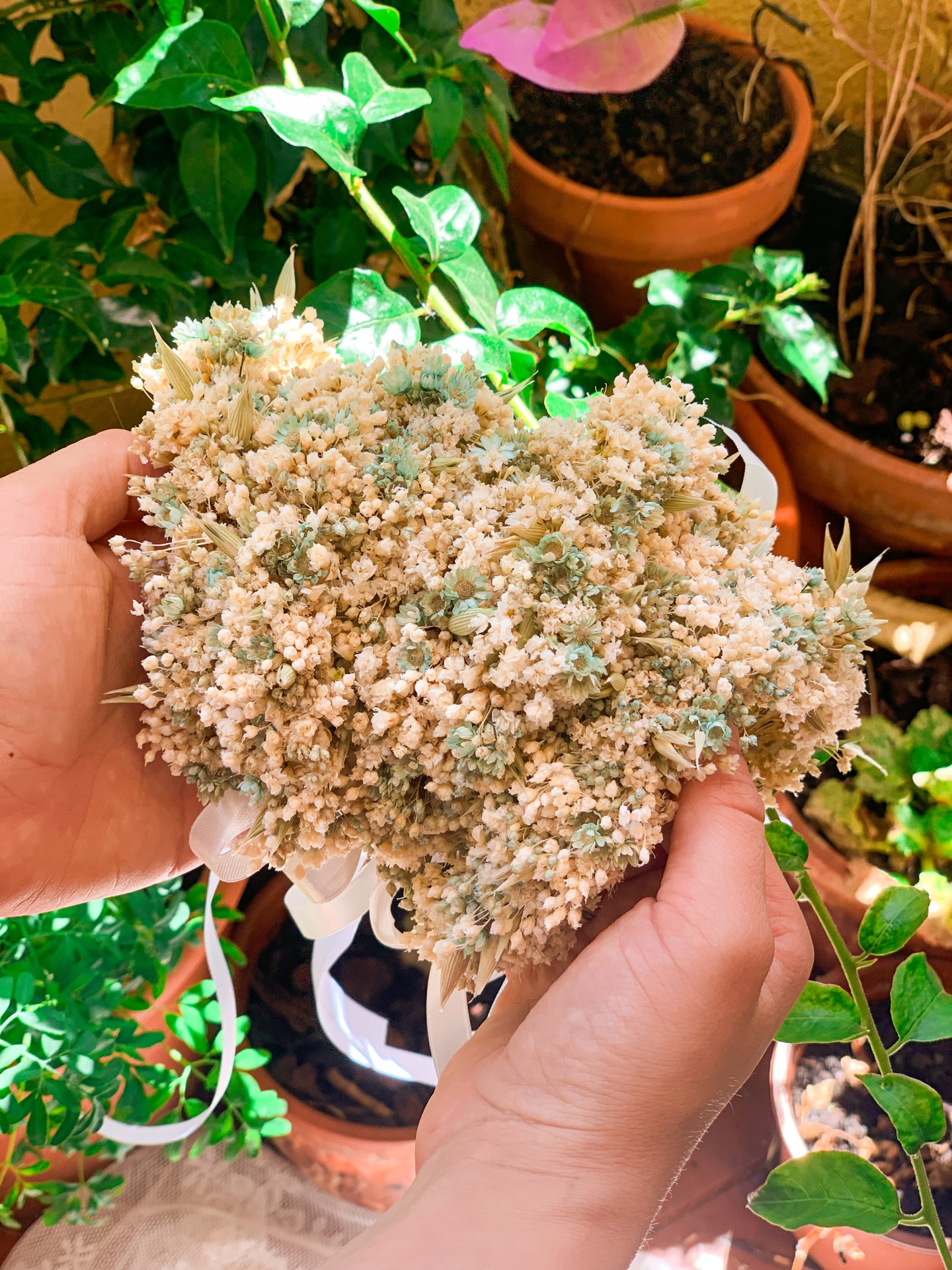 Pulseiras de Flores Secas e Preservadas