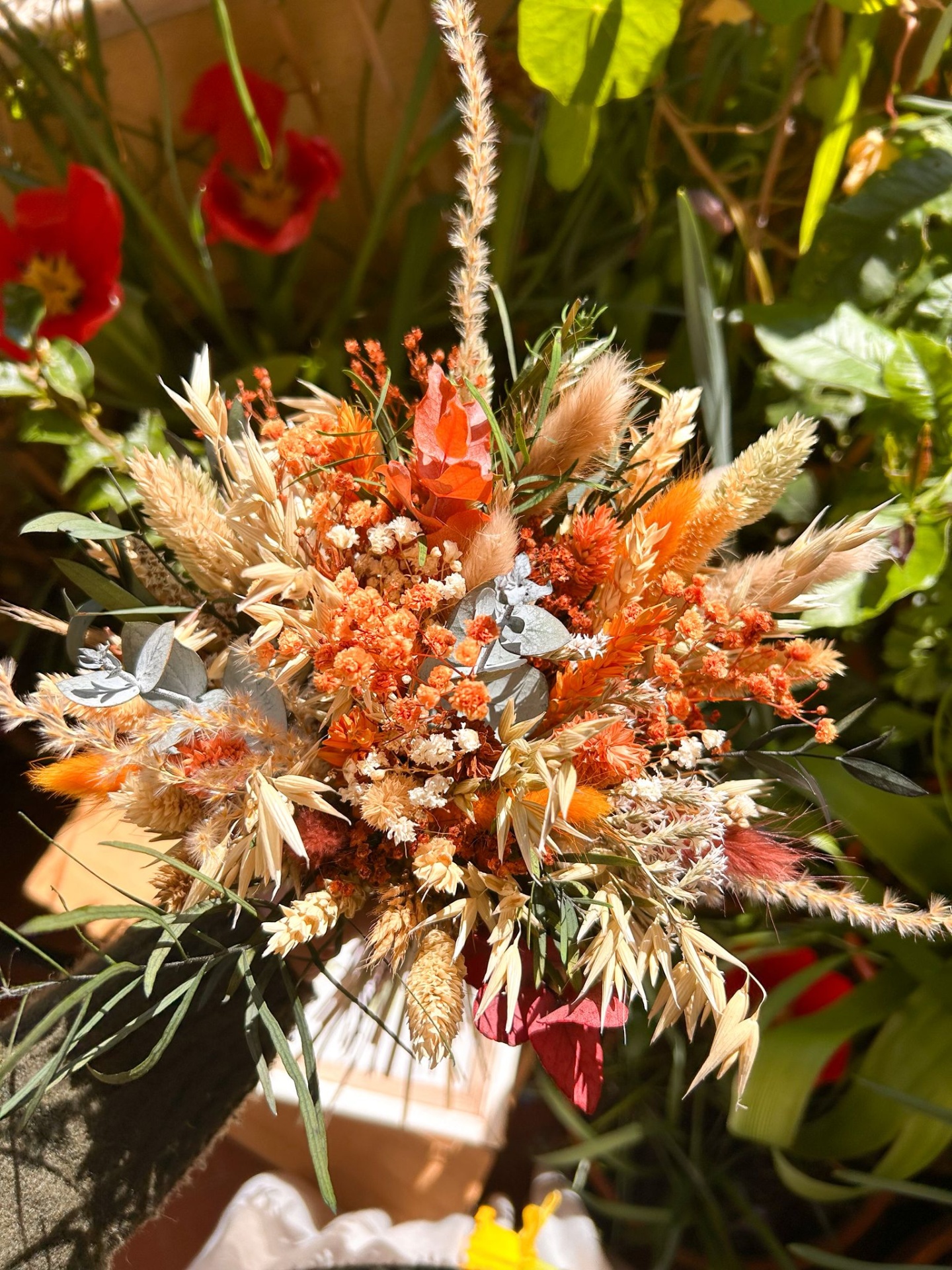 Ramo Terracota de Eucalipto e Gipsofila Preservada