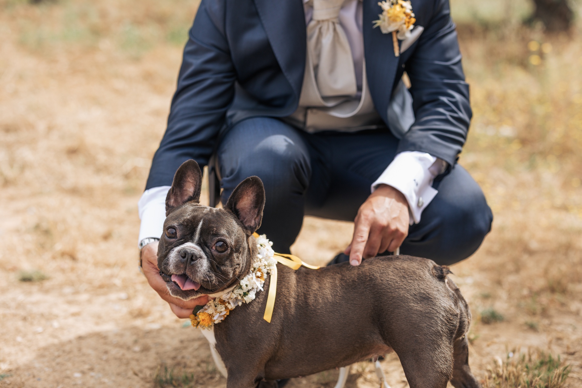 Coleira para Cão em Flores Secas e Preservadas