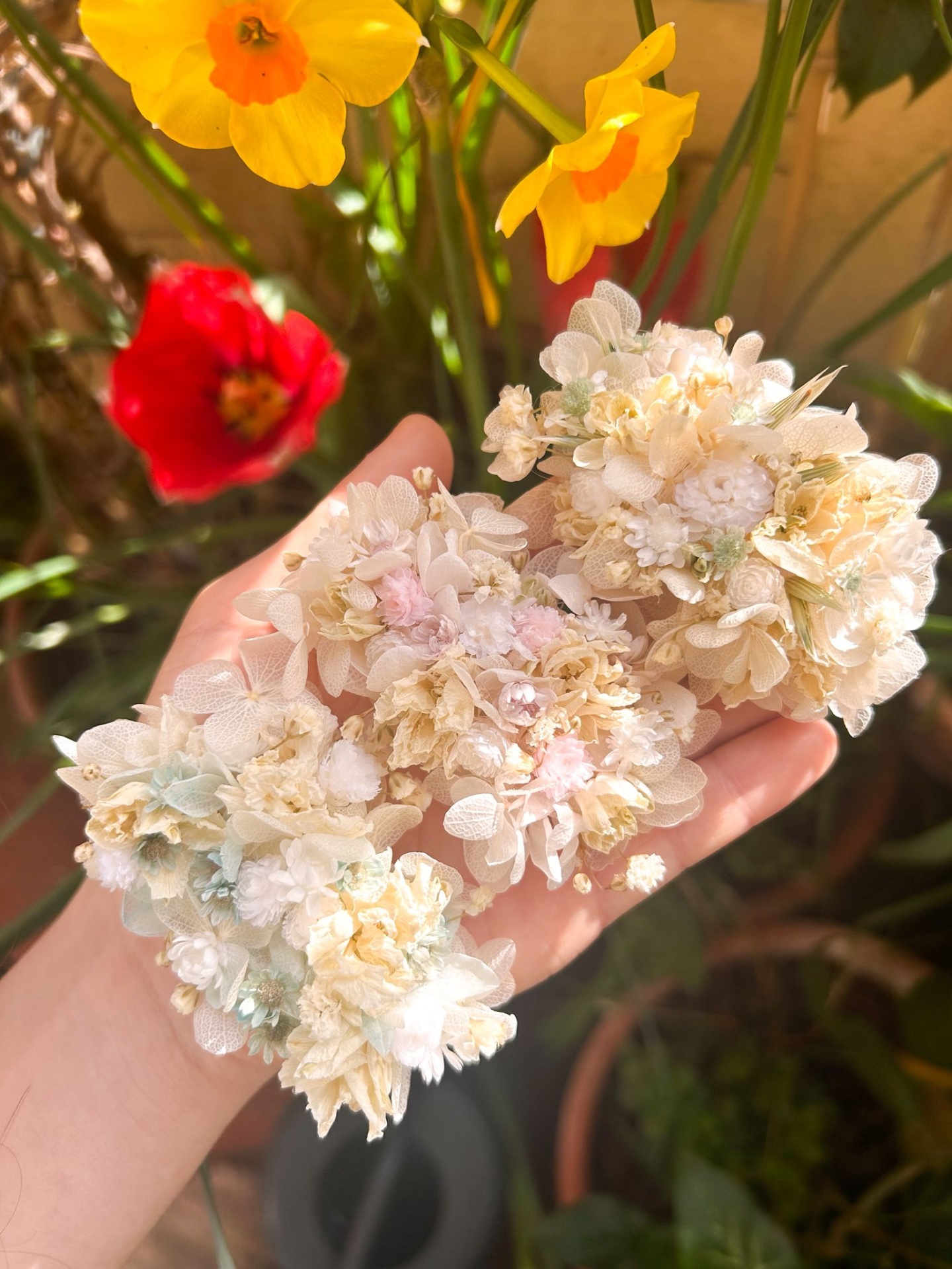 Gancho/Travessão de Flores Secas e Preservadas