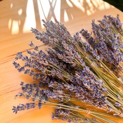 Mini Ramos de Lavanda Seca - Convites e Lembranças