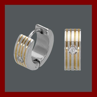 Brincos / argolas de aço inoxidável bicolor