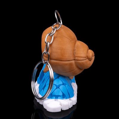 Porta Chaves Caracol