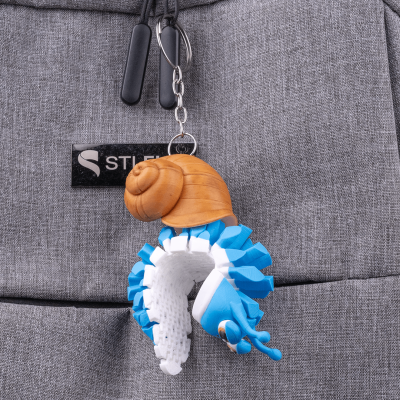 Porta Chaves Caracol