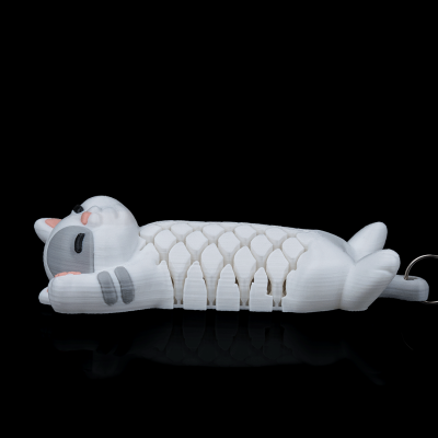 Porta Chaves Lazy Cat