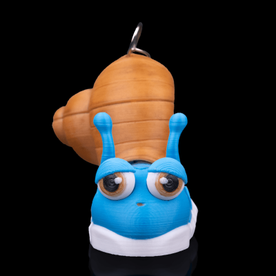 Porta Chaves Caracol