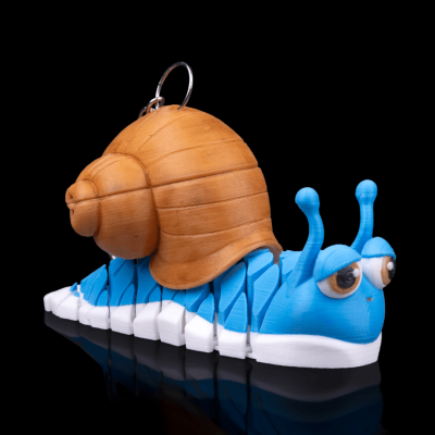 Porta Chaves Caracol