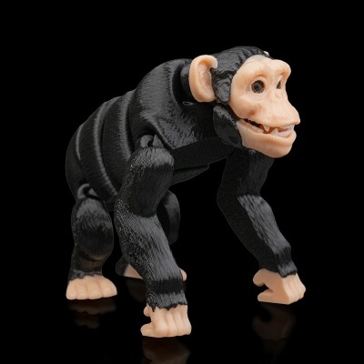 Macaco Zoo Articulado